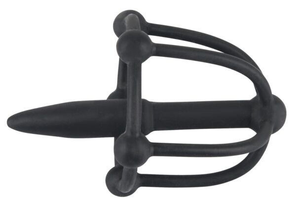 SPINA DEL PENE CON GABBIA DI GLANDE - immagine 2