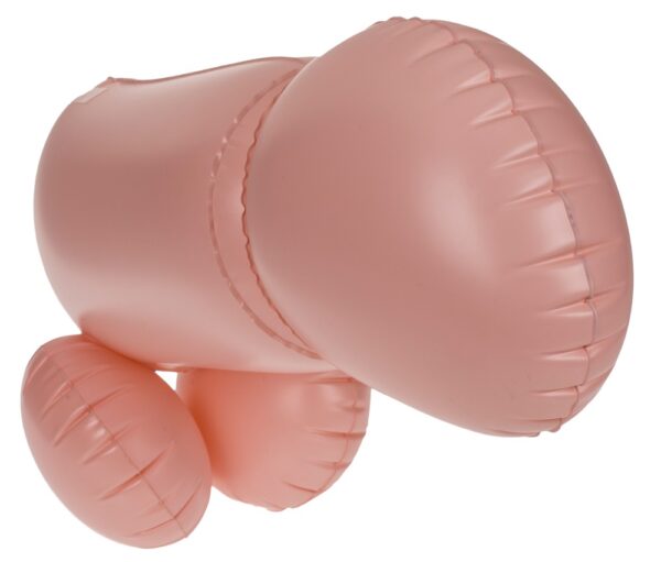 Cock Fighting - immagine 5